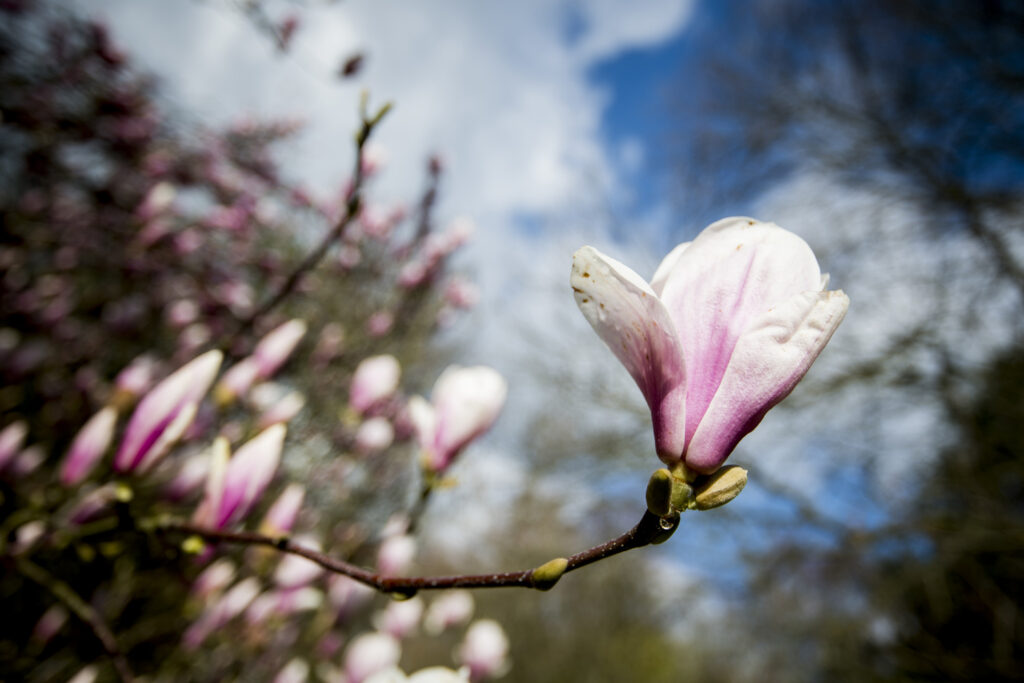 Easter Monday: Morning rain but dry and sunny afternoon