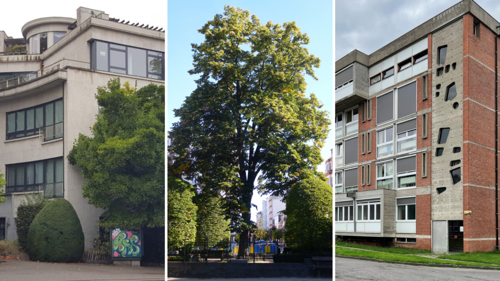 Over 40,000 buildings and 3,000 trees of Brussels heritage to receive stronger legal protection