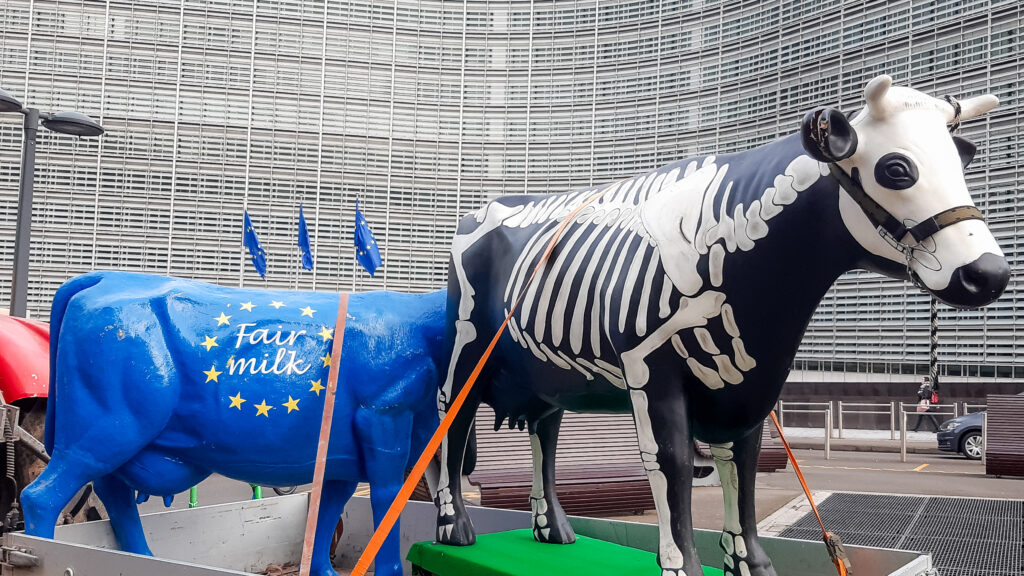 Dairy farmers to demonstrate in Brussels on Monday