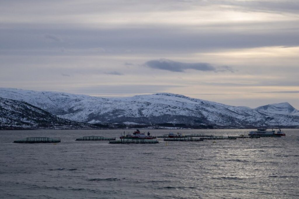 WWF plans to sue Norway over seabed mining decision