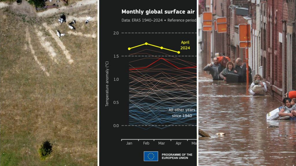 Belgium in Brief: How do we avoid a climate dystopia?