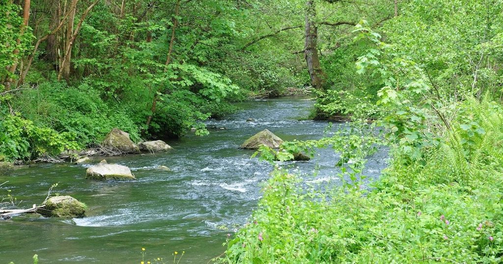 Hidden Belgium: The secret source of Brussels tap water