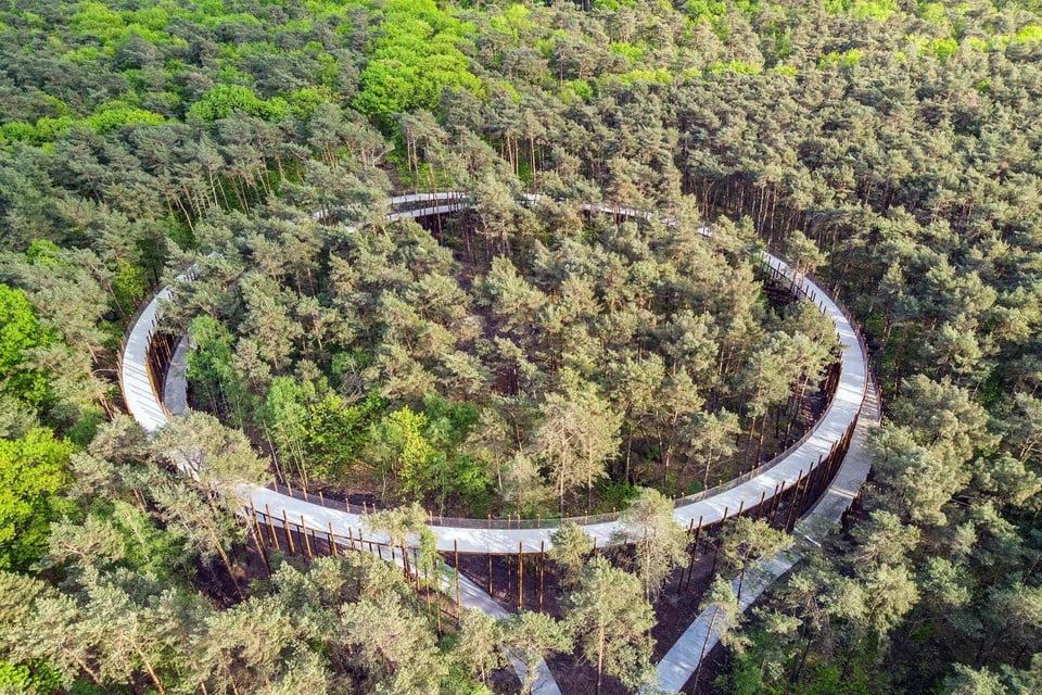 Hidden Belgium: Cycle in the trees