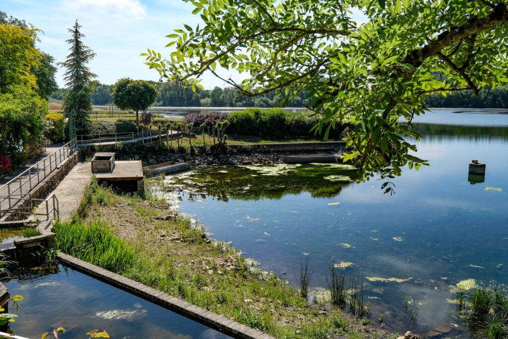 Wallonia unveils 26 summer bathing spots for locals and tourists alike