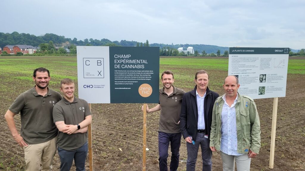 'Putting the land to good use': Liège health clinic grows its own cannabis