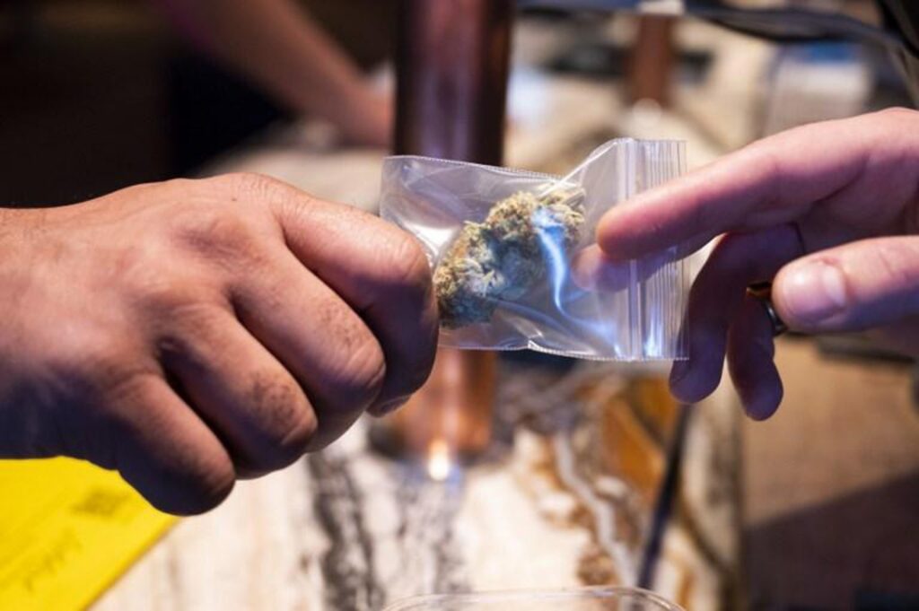 The Netherlands extends cannabis consumption experiment