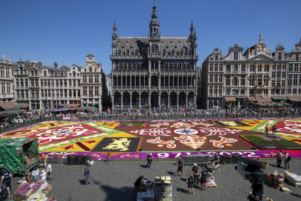 2024 Brussels' Flower Carpet: Radical redesign aims to attract diversified audience