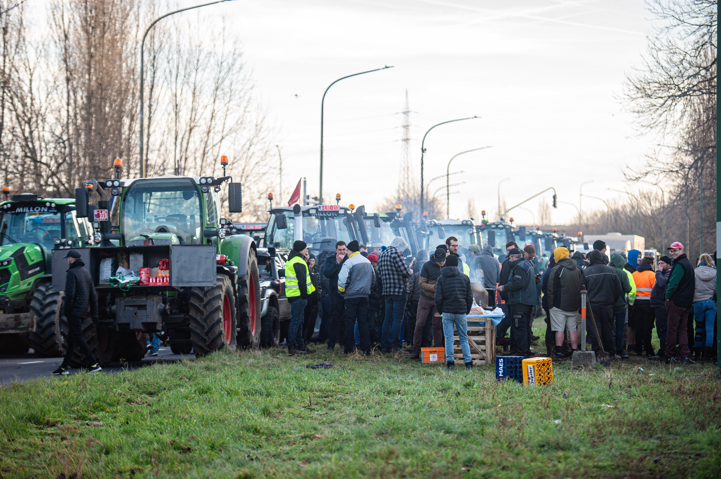 What does EU Nature Restoration Law mean for Belgium and its farmers?