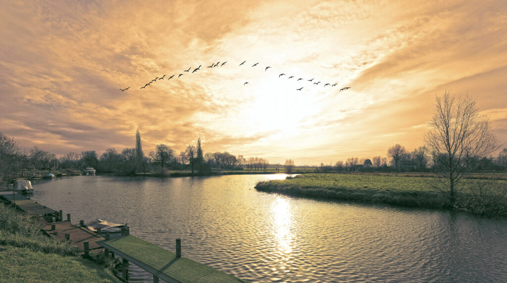 Hidden Belgium: The Golden River