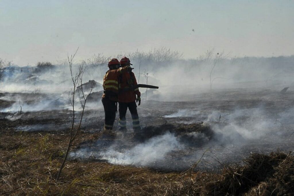 Brazilian region declares state of emergency due to wildfires in the world's biggest wetland