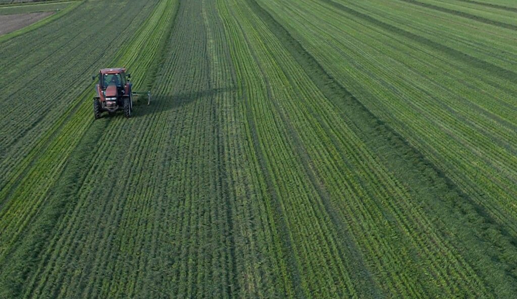 Nearly 80% of Walloon farmers express fears about the future of the sector