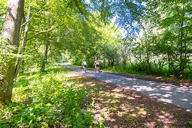 German octogenarian reported missing in the Fagnes found alive