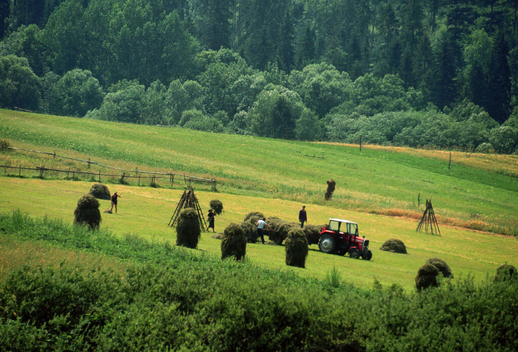 Decision-makers are disconnected from their policies on animal agriculture