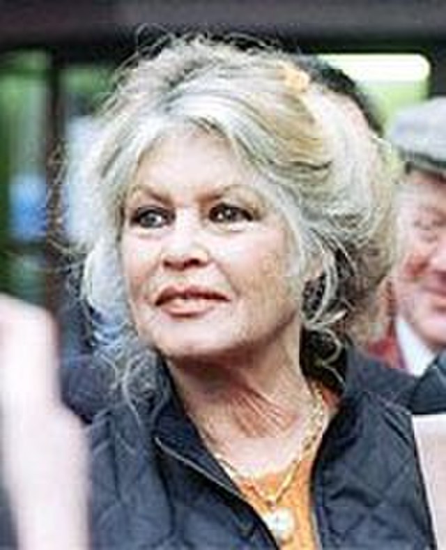 Sale of Bardot's personal items brings in nearly €954,000