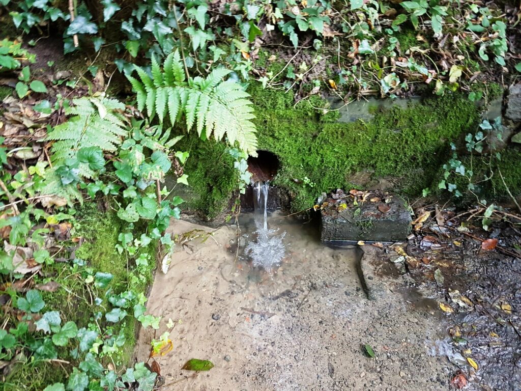 Uccle's Geleytsbeek brook disconnected from the sewerage system