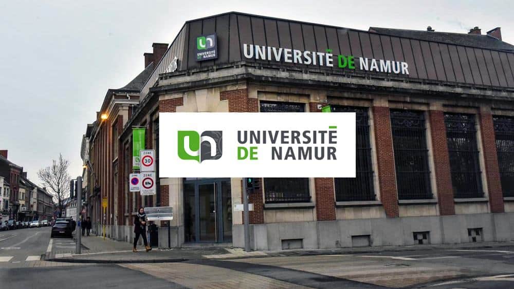 Interest payments on its debt are expected to cost Wallonia almost €1 billion in 2029