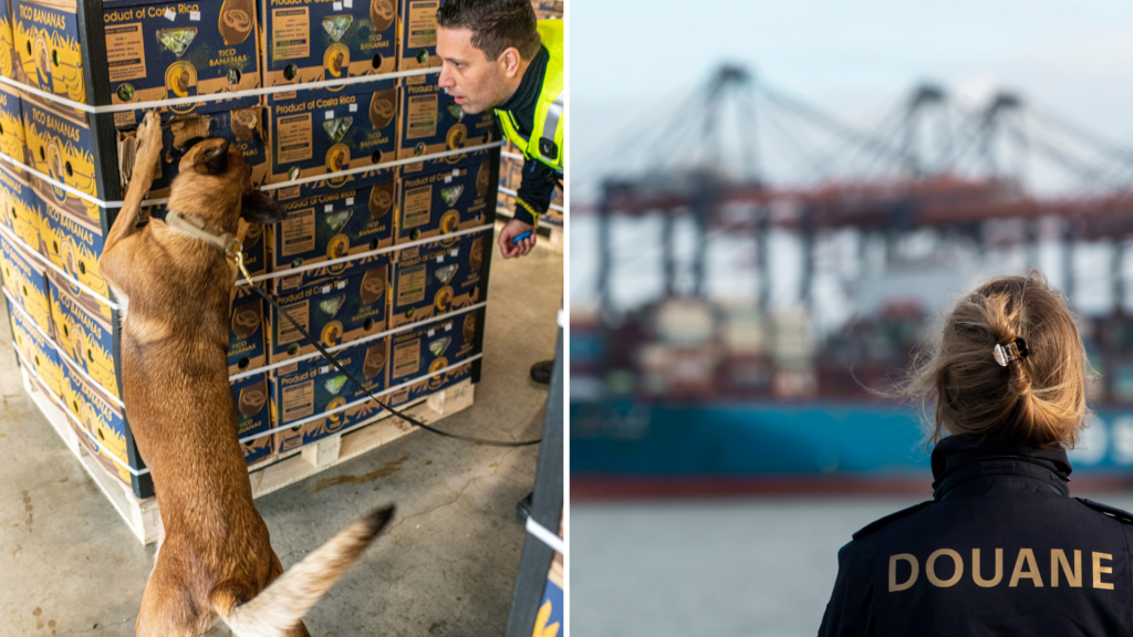 Still Europe's cocaine capital: Drug seizures at Antwerp port remain stable, but volume falling