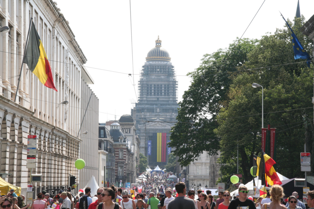 'I forgot it was happening': How do Belgians feel about National Day?