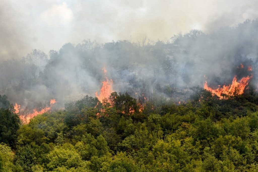 At least one dead in forest fires in North Macedonia