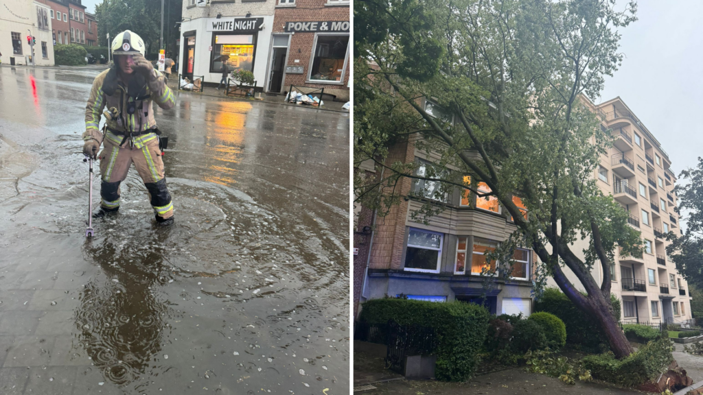 Brussels storm: One death as baby hit by branch in Uccle park