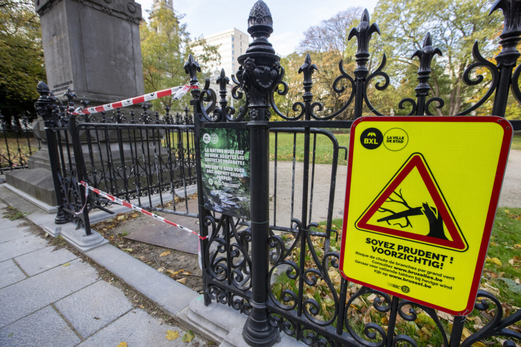 All parks in Brussels closed due to thunderstorm risk, including Sonian Forest