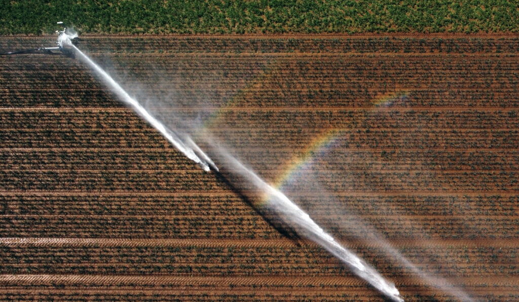 Climate change will see food prices rise in Belgium, says National Bank