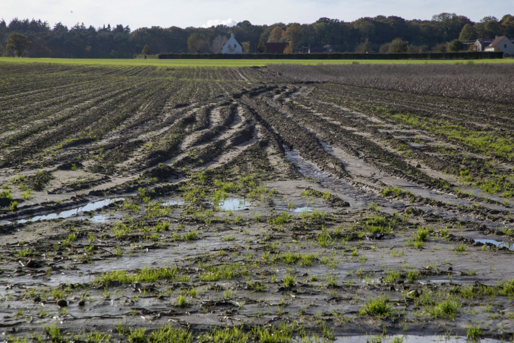 Limited flooding occurred in parts of Flemish Brabant including Leuven