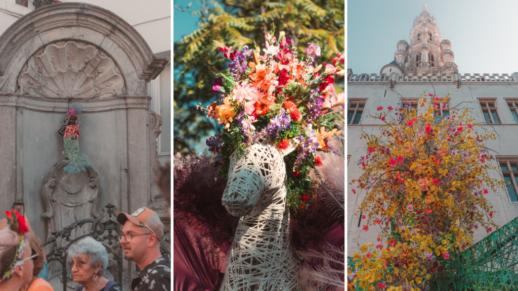 Blooming Brussels: City centre decorated with floral artworks and flower carpet