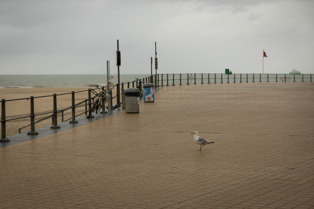 'A typical Belgian July': Coastal tourism falters as rain makes holidaymakers hesitate