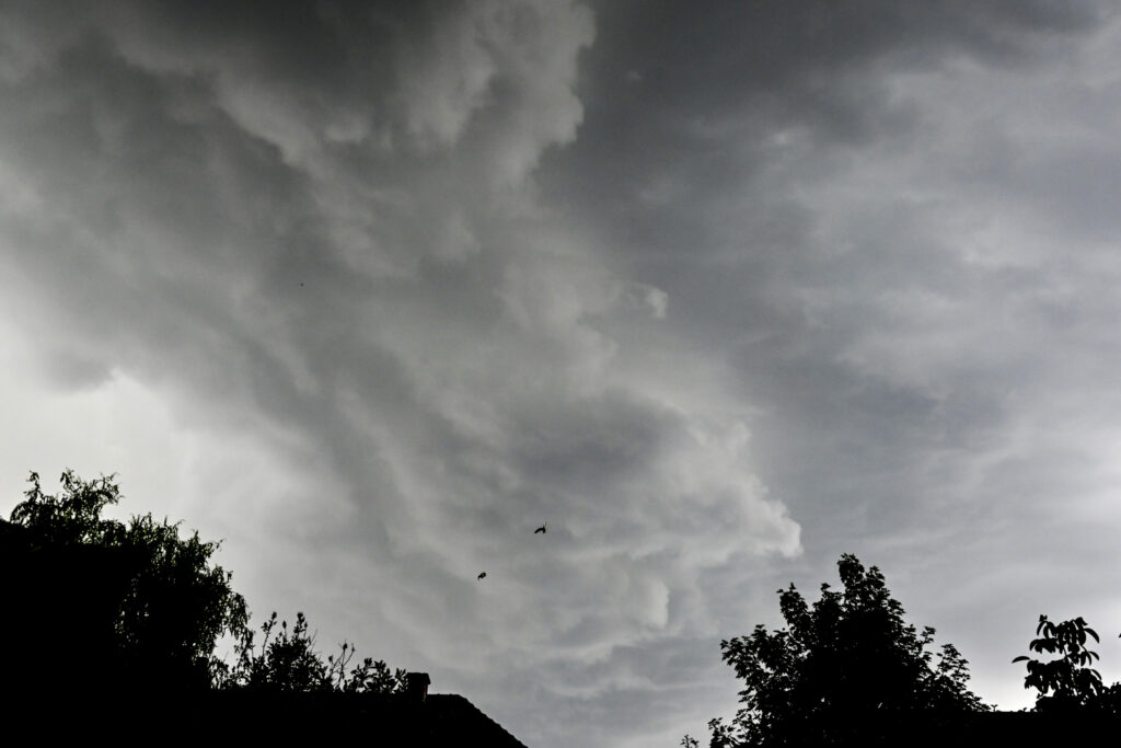 Storm to hit Belgium on Thursday: Here’s what to expect