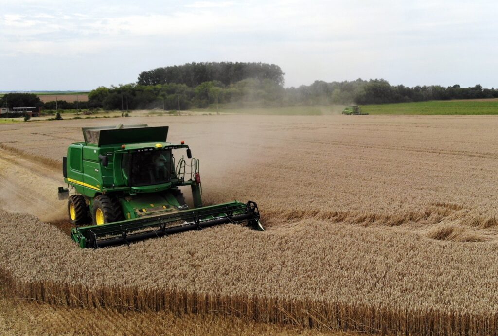 Large drop in Belgian cereal cultivation due to bad weather in 2023