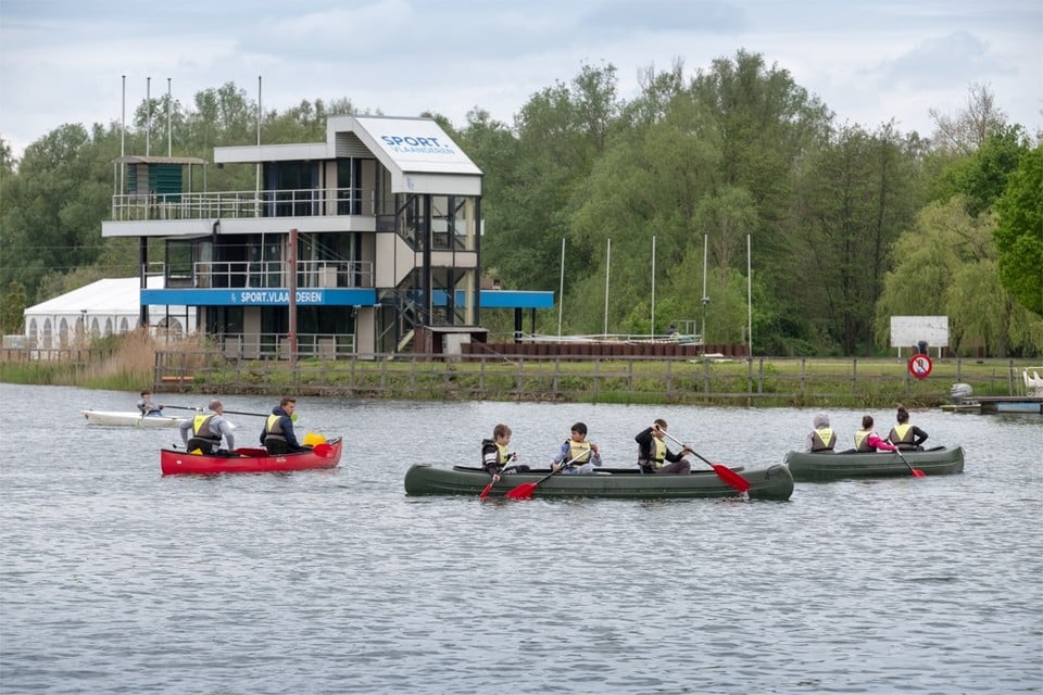 Swimming and rowing possible again on the Hazewinkel in Willebroek
