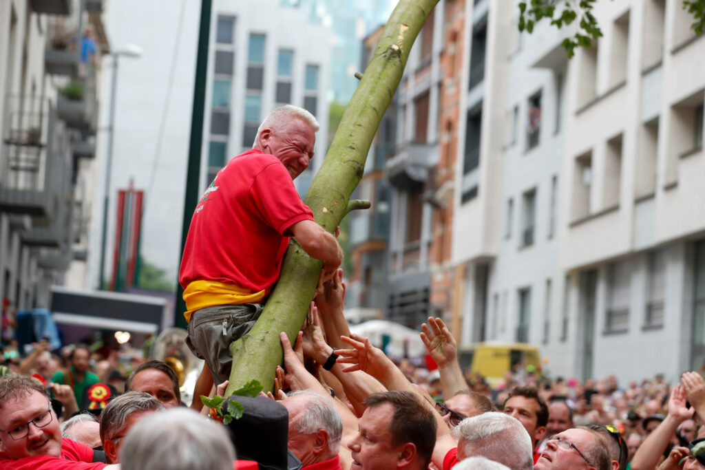 Brussels folklore: Planting of 716th Meyboom takes place today