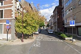 Charleroi residents come closer to saving city-centre tree from removal