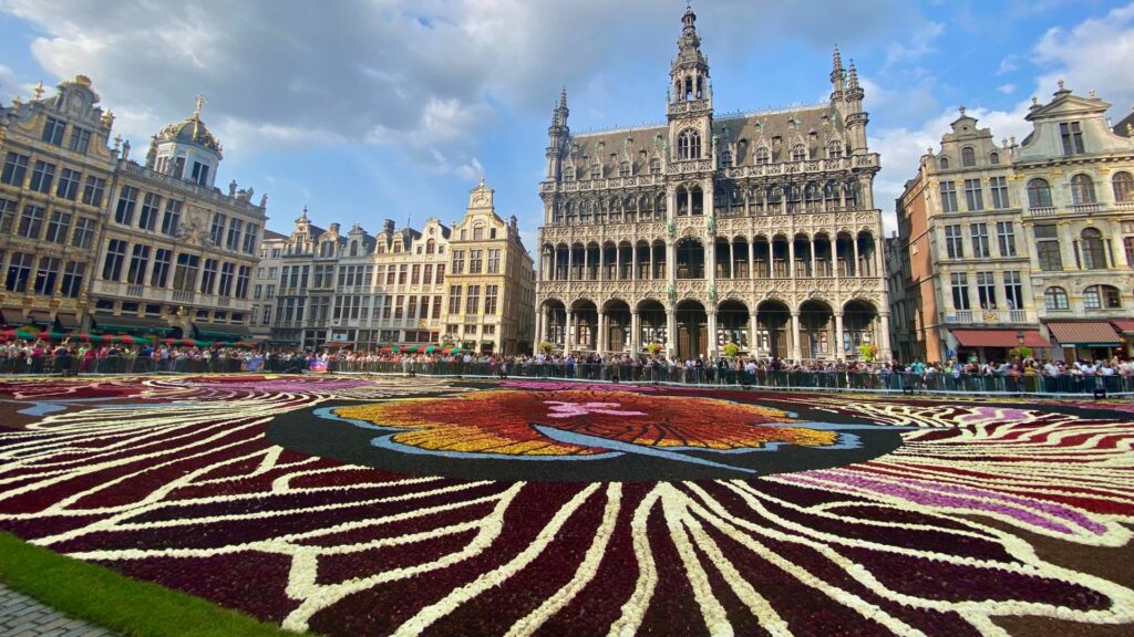 'Incredible success': Brussels' biennial flower carpet attracts ...