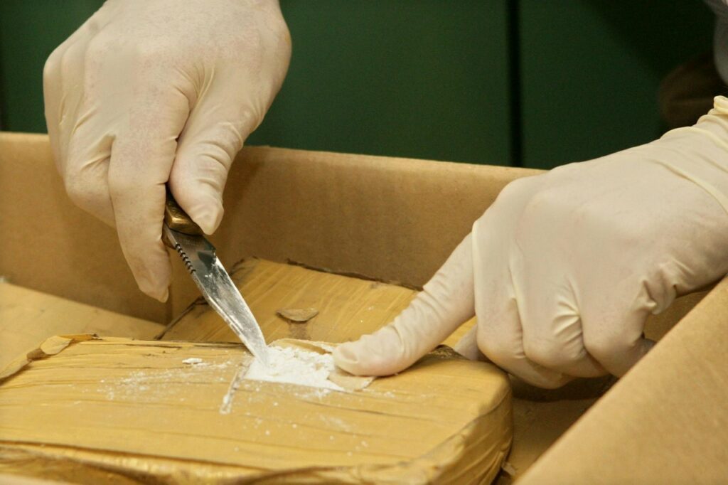 International cocaine network busted - 11 arrests in Belgium