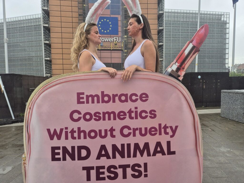 EU ban on animal testing for cosmetics is 'undermined' by loopholes, says PETA