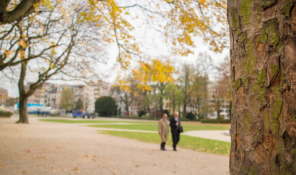 Many urban neighbourhoods in Belgium have too few trees, says Greenpeace