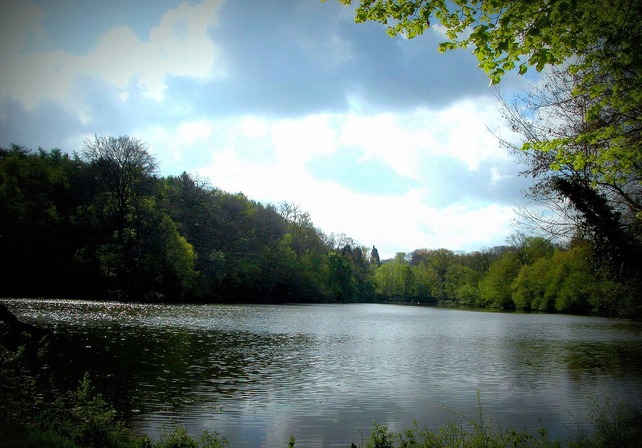 New nature reserve inaugerated in Liège region