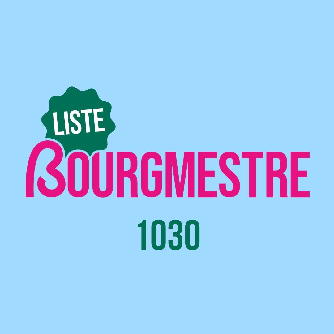 Local elections 2024 Who's running in Schaerbeek?