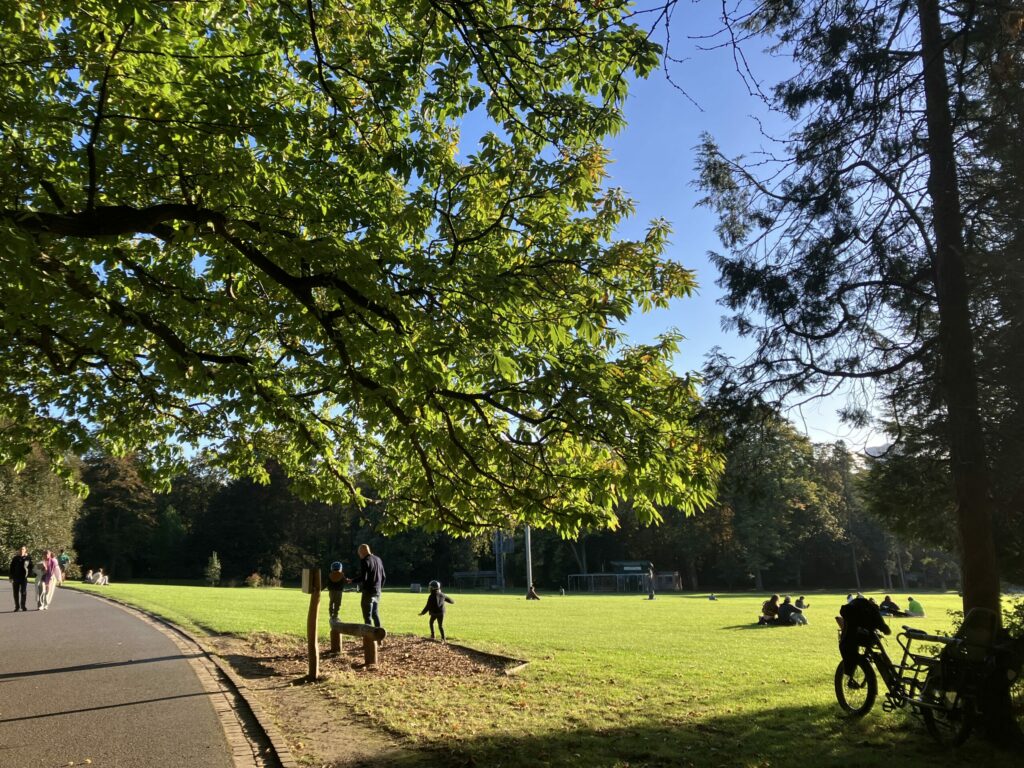 Friday is warmest 25 October on record in Belgium