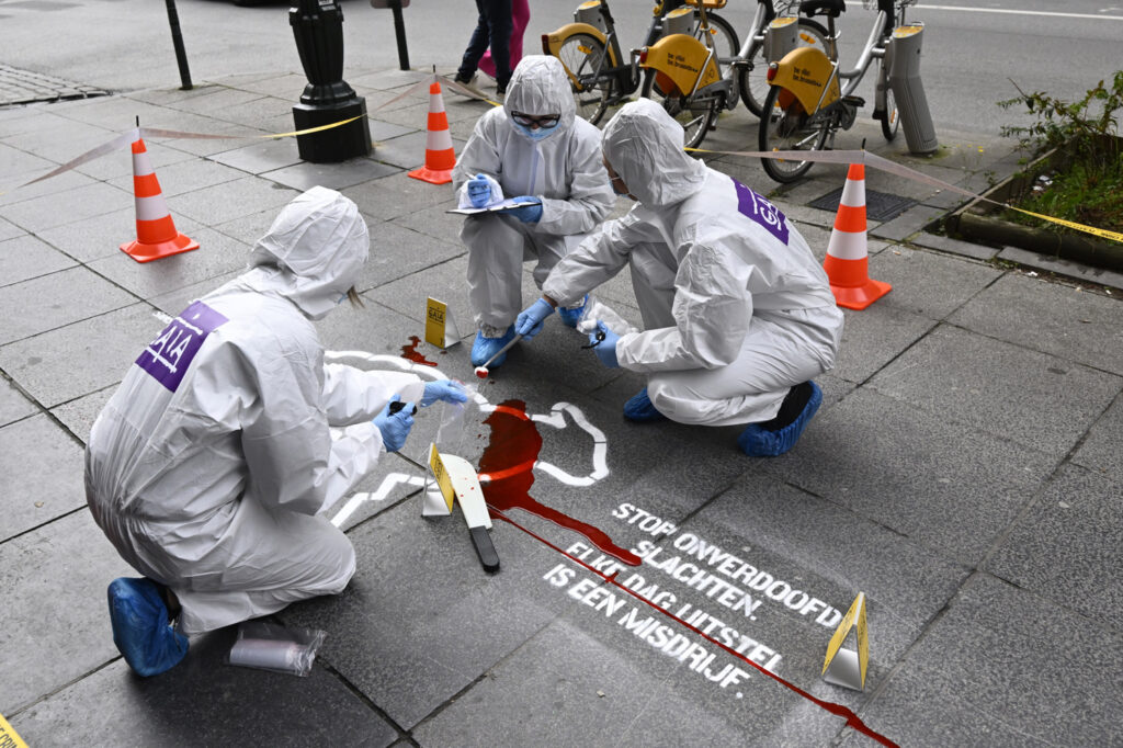 'One of the cruellest practices of our time': GAIA stages protests against ritual slaughter in Brussels