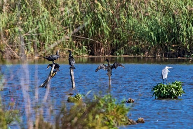 EU invests in new LIFE projects to support the green transition