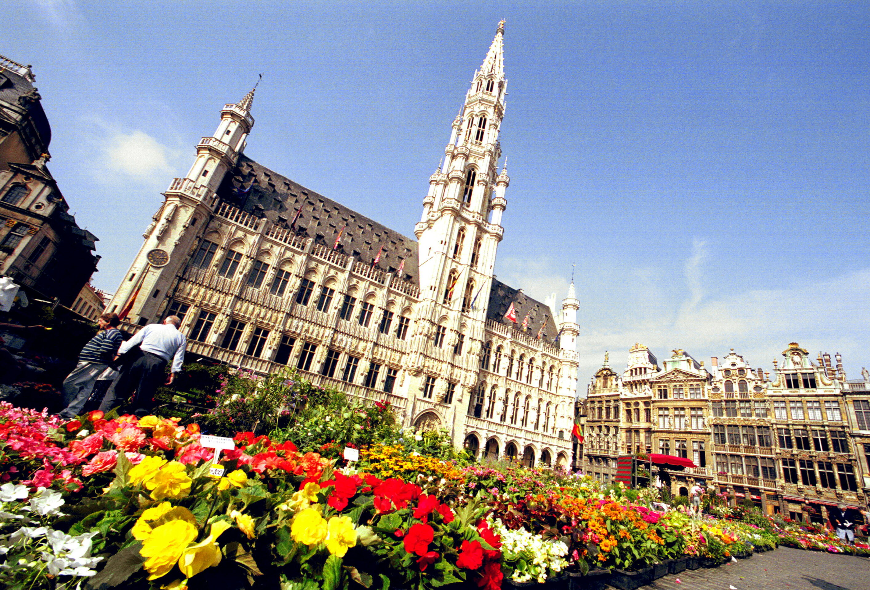 The Brussels Times Survey: How do expats rate their local communes?