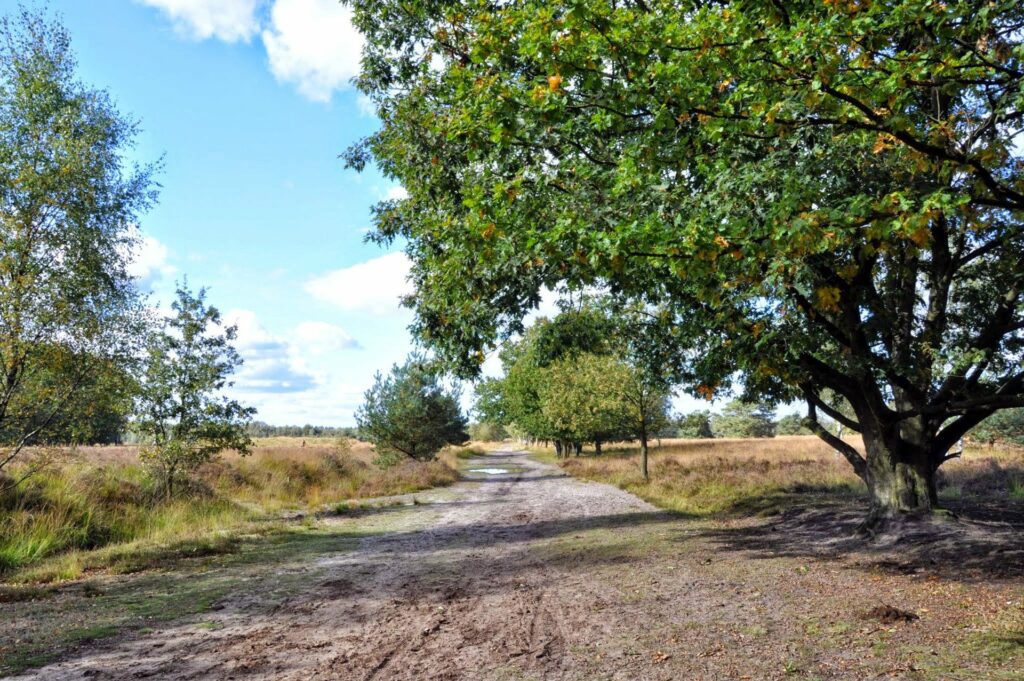 New scenic itinerary through Kempen links Dutch and French Compostela pilgrimage routes