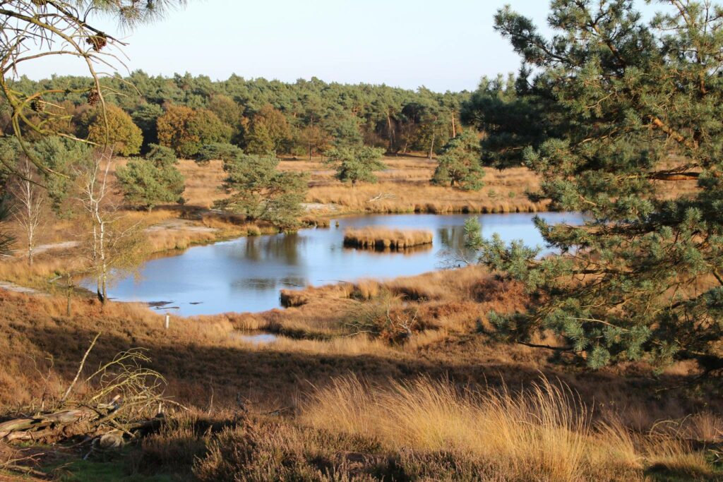 The Netherlands sells piece of land to Belgium