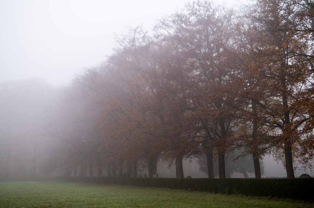 Code yellow weather warning for fog across Belgium on Wednesday