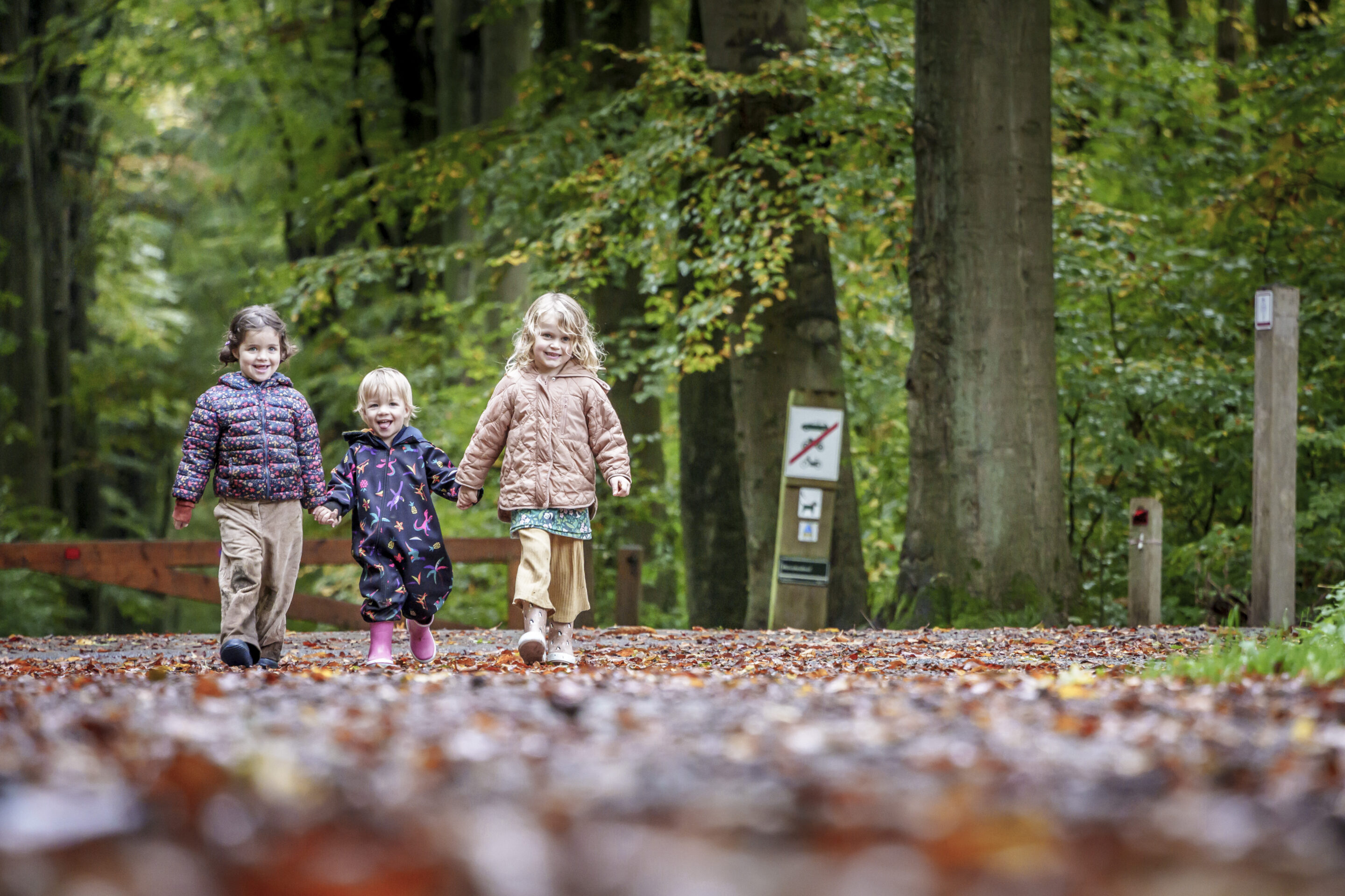 Five walks in the most beautiful autumn forests, plus, great places to stay...