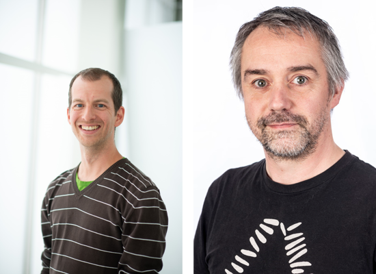 Plant roots go through puberty, Belgian scientists find