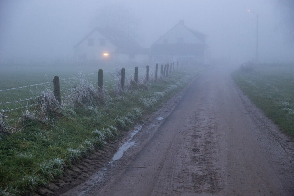 'Limited visibility': Code yellow for fog before sunny day